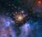 Bild7