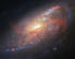 Bild6