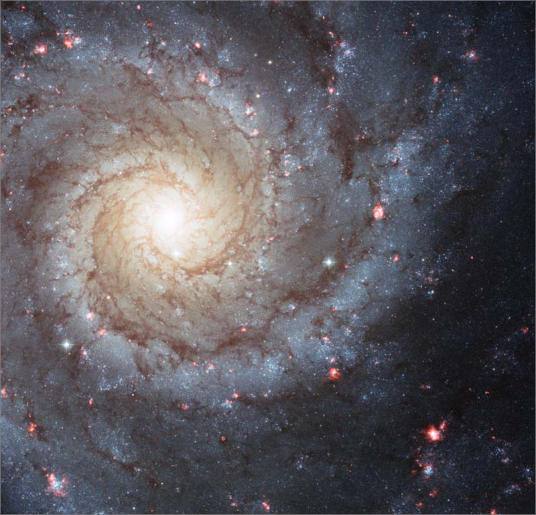 Spiral Galaxy M74