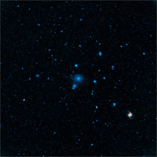 Fornax Cluster